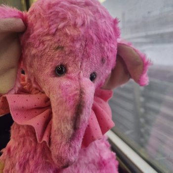 Как у меня поселился розовый слон