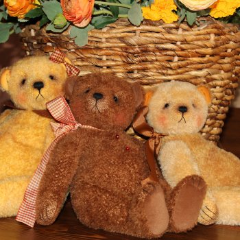 Мишки Тедди - Печеньки