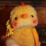 Цыпленок тедди - Помпон