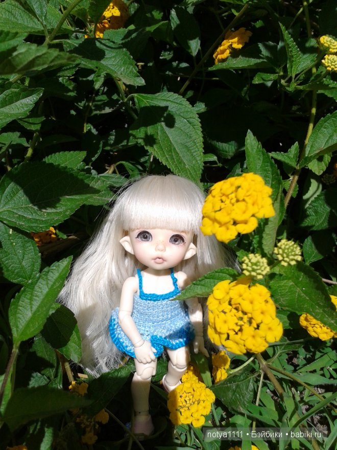 Вот и закончился долгожданный отпуск на море. БЖД, Пуки Фи Анте (фото 5)