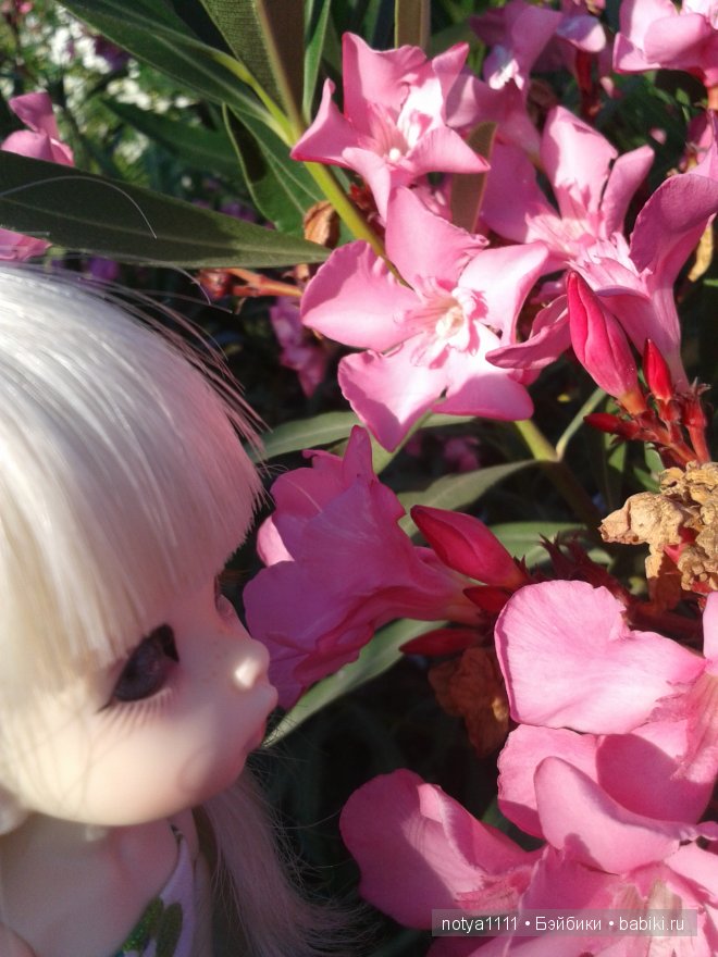 Вот и закончился долгожданный отпуск на море. БЖД, Пуки Фи Анте (фото 2)