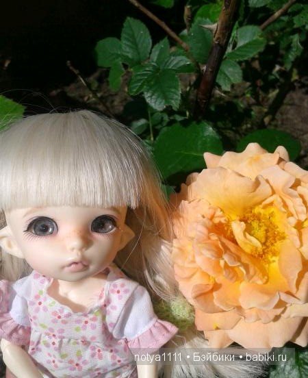 Каникулы Энни на даче. Кукла БЖД Пукифи (фото 5)