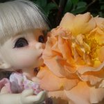 Каникулы Энни на даче. Кукла БЖД Пукифи