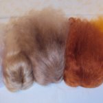 Наши новые парики.