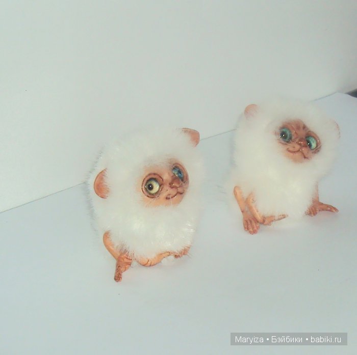 У нас пополнение! Лемуры-пушистики