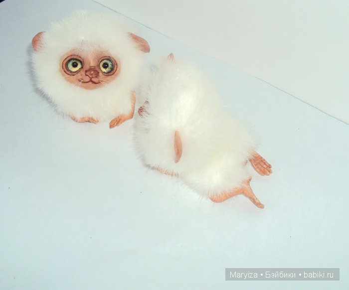 У нас пополнение! Лемуры-пушистики (фото 5)