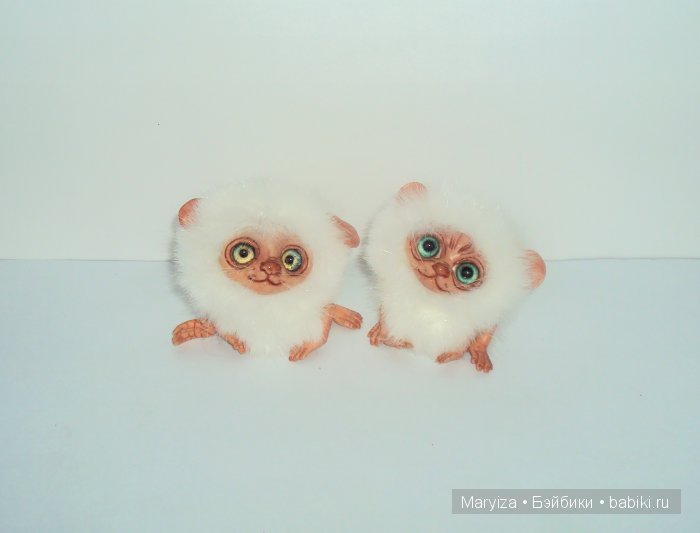У нас пополнение! Лемуры-пушистики