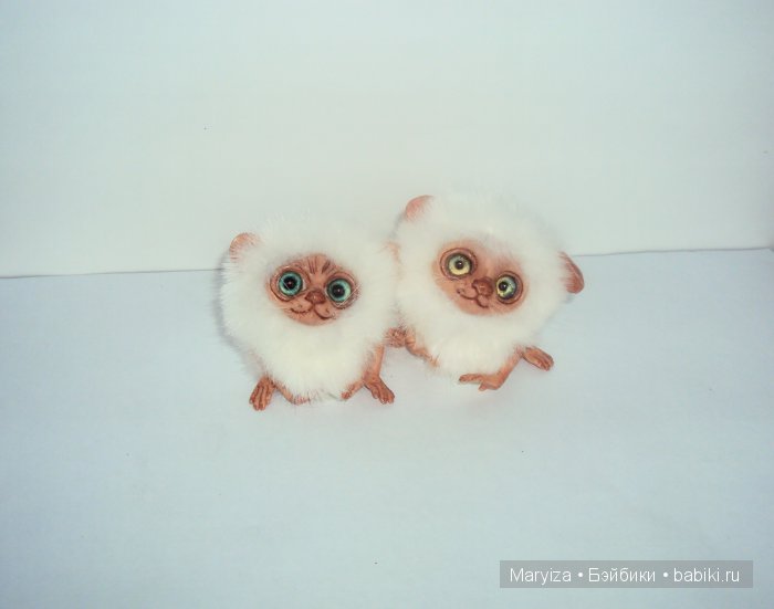 У нас пополнение! Лемуры-пушистики (фото 7)