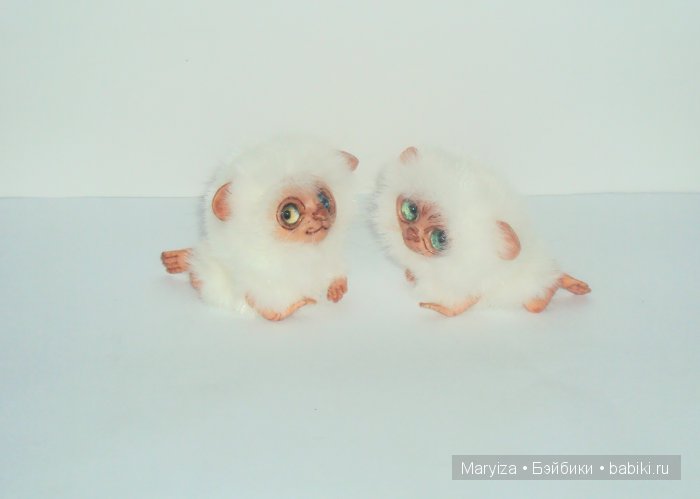У нас пополнение! Лемуры-пушистики (фото 4)