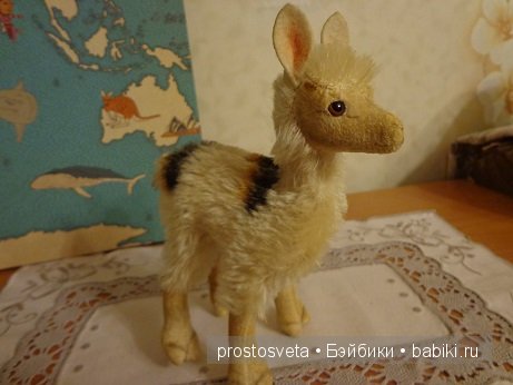 Самая старенькая из всех этих зверей.А какие у нее глаза... Самая старенькая из всех этих зверей.А какие у нее глаза...