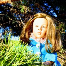 Прогулка в сосновом лесу