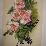 Мое новое увлечение - вышивка шелковыми лентами.