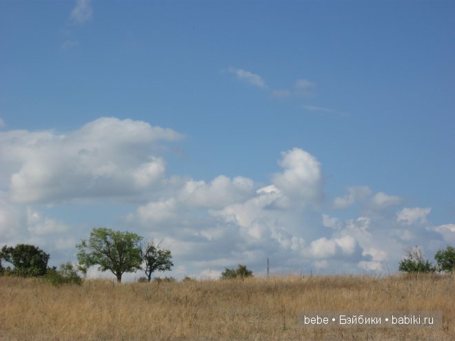 Поездка за город или жаль, что не все выходит, как планируешь
