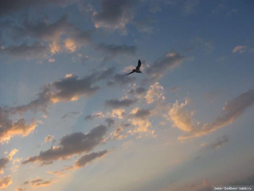 Теплое, летнее море, как нам тебя не хватает (фото 2)