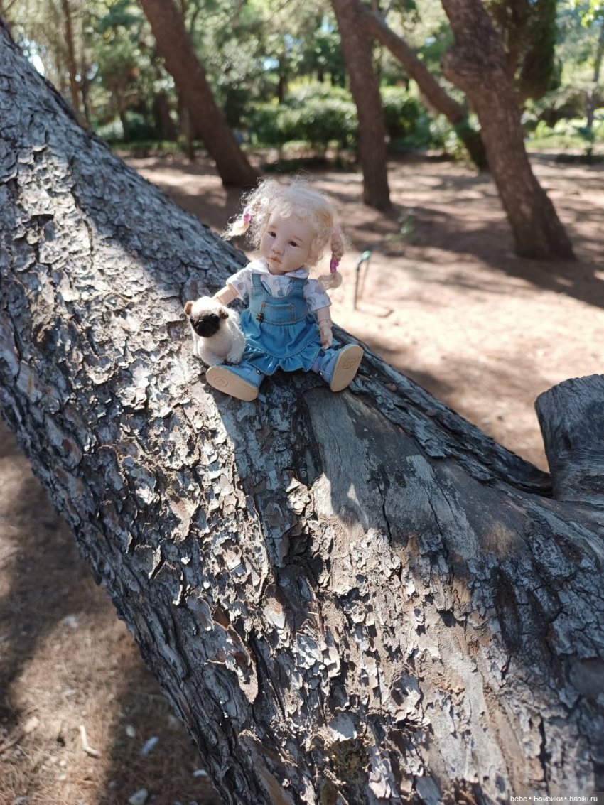 Воспоминания Вареньки о сказочном Форосе. Часть первая: Форосский парк (фото 6)