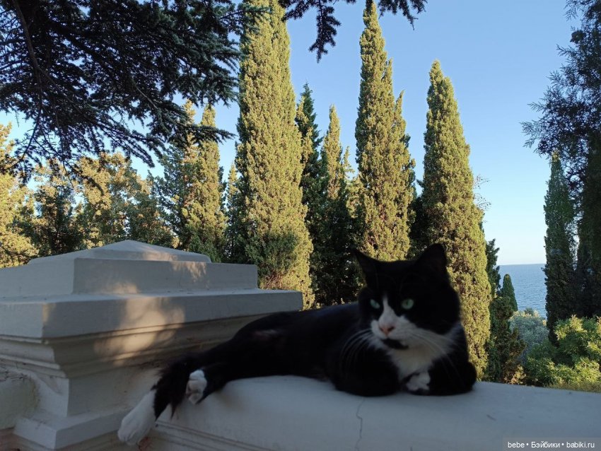 Воспоминания Вареньки о сказочном Форосе. Часть первая: Форосский парк