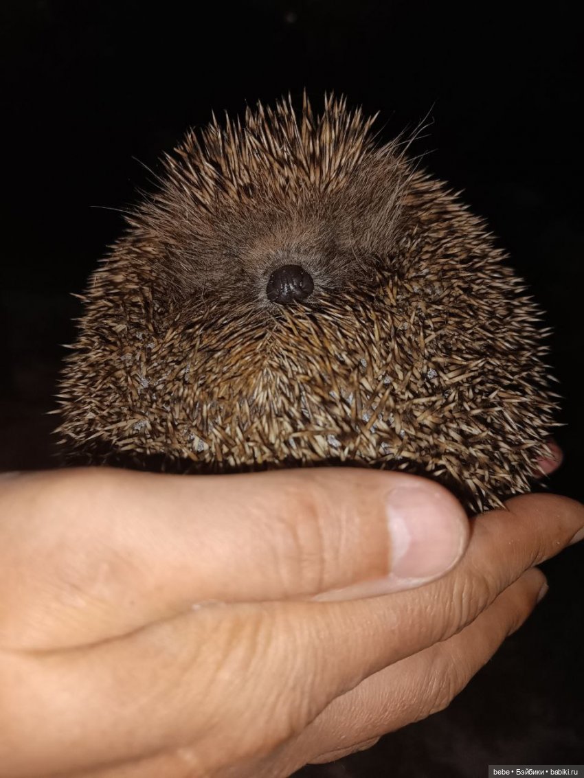 Воспоминания Вареньки о сказочном Форосе. Часть первая: Форосский парк