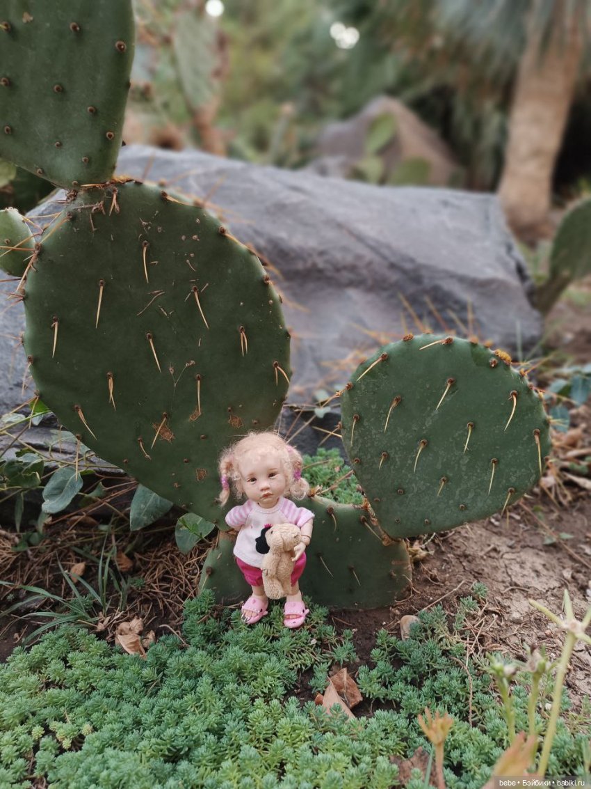 Воспоминания Вареньки о сказочном Форосе. Часть первая: Форосский парк (фото 2)
