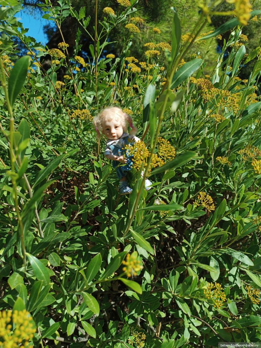 Воспоминания Вареньки о сказочном Форосе. Часть первая: Форосский парк (фото 8)