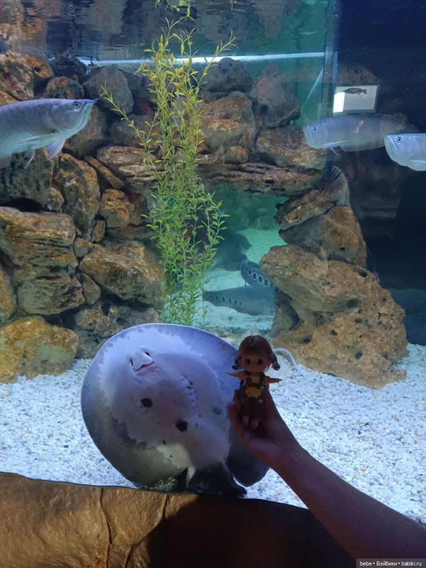 Море шепчет не грусти, лучше в гости приходи. Подарю тебе ракушку, ласково шепну на ушко. Искупаю в пене даже, полежишь со