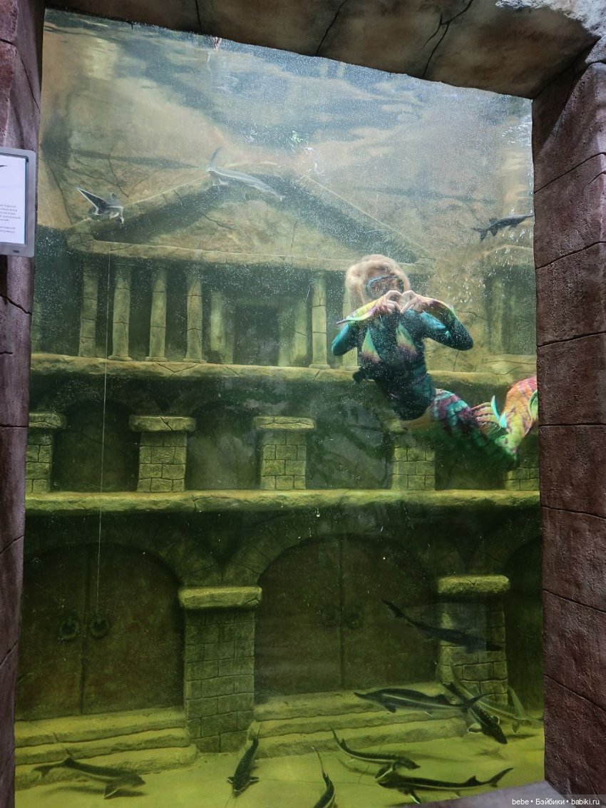 Море шепчет не грусти, лучше в гости приходи. Подарю тебе ракушку, ласково шепну на ушко. Искупаю в пене даже, полежишь со