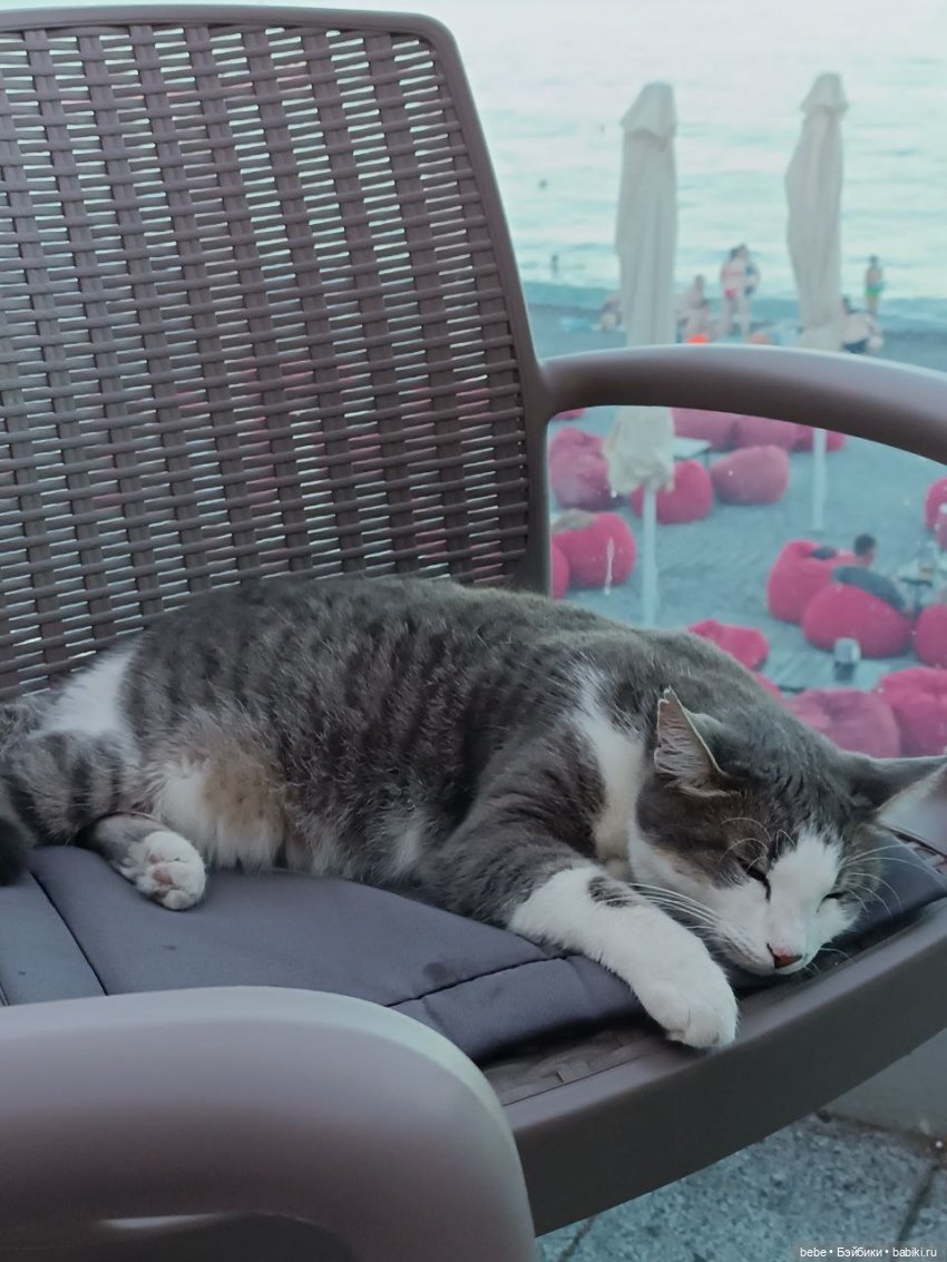 Море шепчет не грусти, лучше в гости приходи. Подарю тебе ракушку, ласково шепну на ушко. Искупаю в пене даже, полежишь со