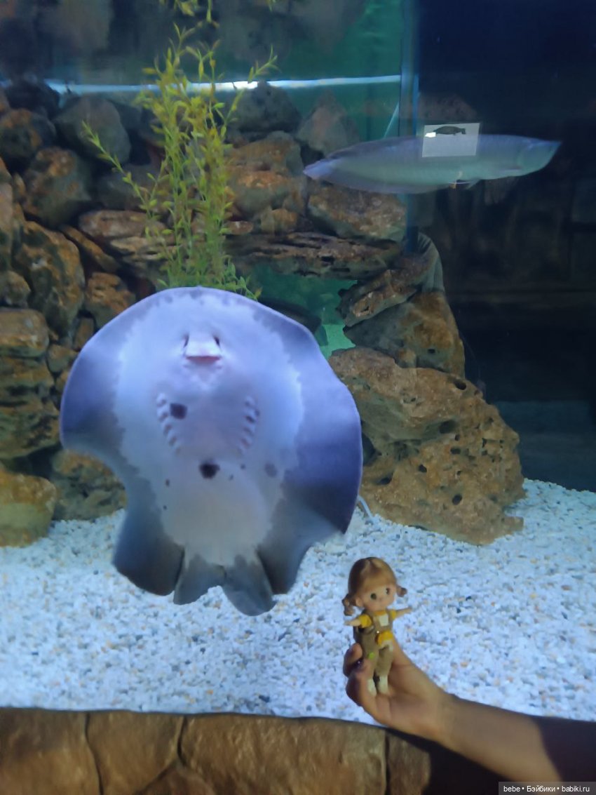 Море шепчет не грусти, лучше в гости приходи. Подарю тебе ракушку, ласково шепну на ушко. Искупаю в пене даже, полежишь со