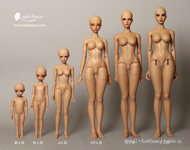 Размеры бжд кукол ИплХаус (Iplehouse) (фото 3)