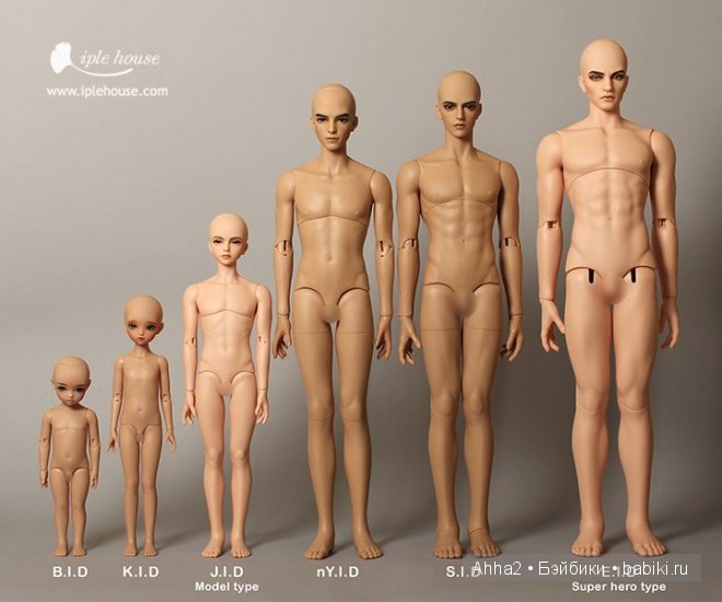 Размеры бжд кукол ИплХаус (Iplehouse) | Бэйбики Размеры бжд кукол ИплХаус (Iplehouse) (фото 2)