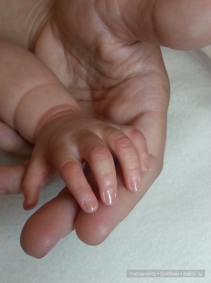 Кукла реборн Лиса (Елисавета) из молда Tiffany