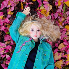 Луна и листья