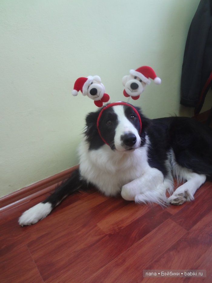 Праздник к нам приходит.. или я сделала то, о чем мечтала (фото 7)