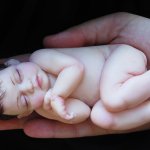 Как пользоваться красками Genesis?