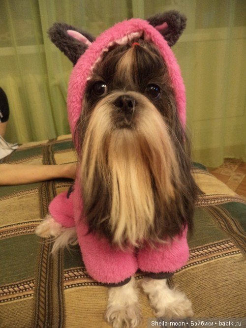 Моя зефиринка Полинка. Авторская кукла Егоровой Елены