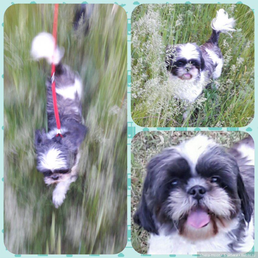 Моя зефиринка Полинка. Авторская кукла Егоровой Елены (фото 2)