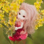 Немного лета на закате...