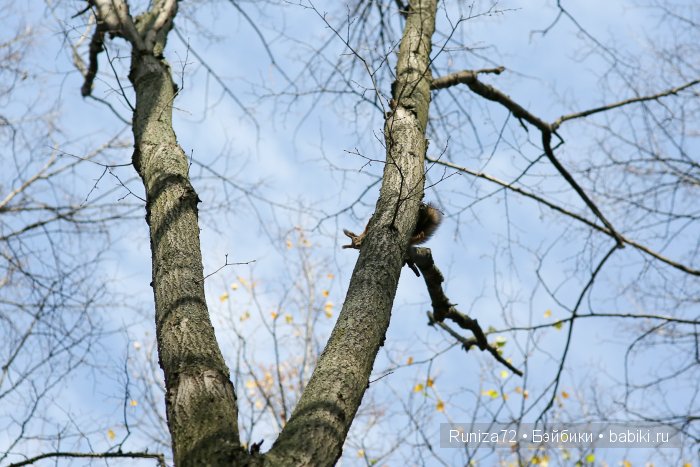 Мечтать не вредно! Вредно не мечтать