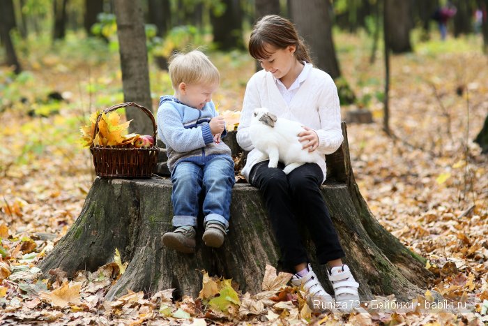 Мечтать не вредно! Вредно не мечтать