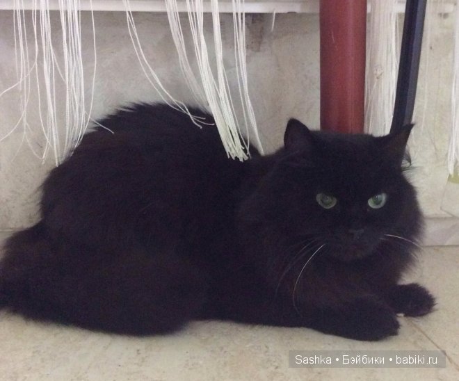 Хорошо когда все дома — Куклы Fairyland (ФэйриЛэнд): BJD (БЖД) (фото 3)