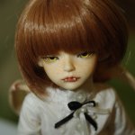 Продуктовая пирамида. 5stardoll Quintus