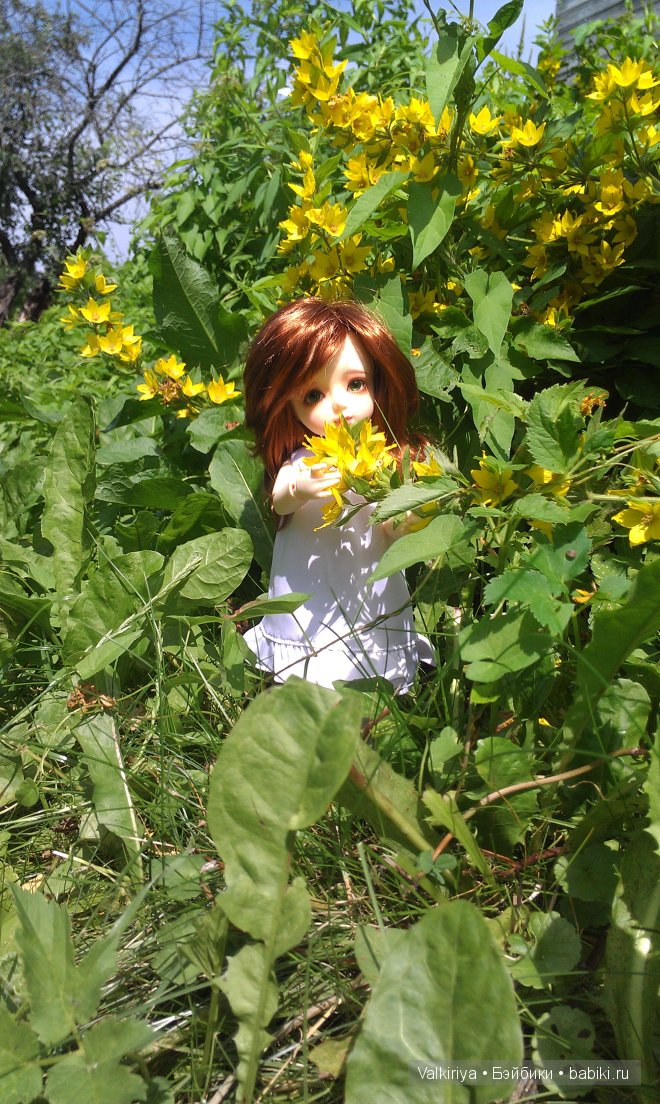 Michelle от Momocolor