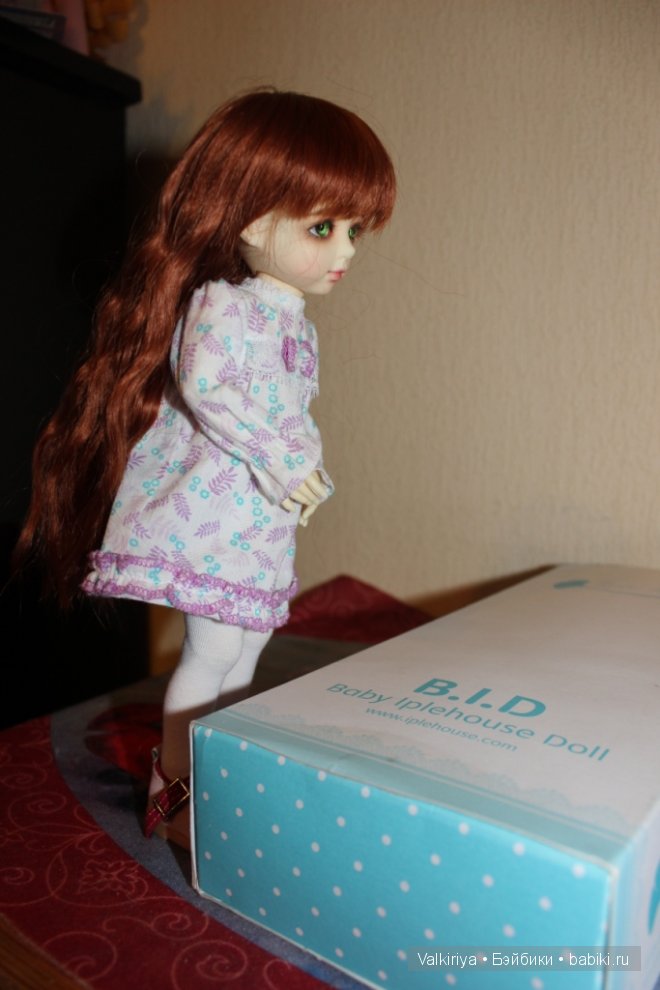 К нам приехала сестренка. Iplehouse BID Aki (фото 5)