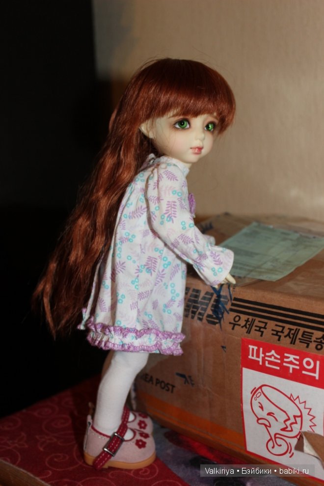 К нам приехала сестренка. Iplehouse BID Aki (фото 3)