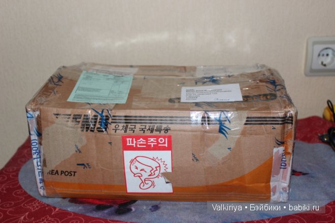 К нам приехала сестренка. Iplehouse BID Aki (фото 2)