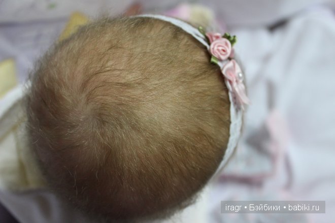 София молд Ливия