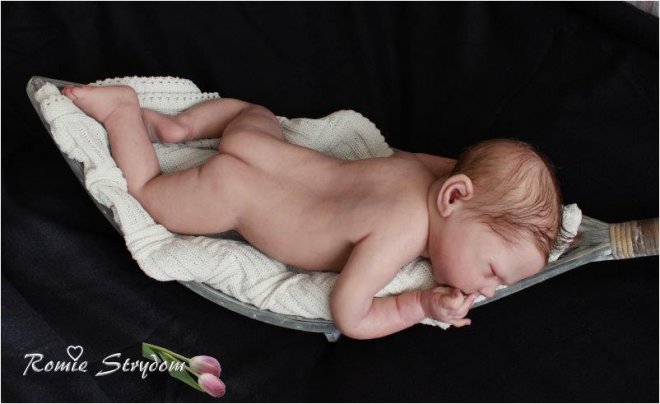 Amelie Rose Silicone baby by Romie Strydom, силиконовая кукла от Роми Стридом Amelie Rose Silicone baby by Romie Strydom, силиконовая кукла от Роми Стридом