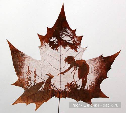 Рисунки на листьях клёна — Интересное и необычное: фотоподборки (фото 6)
