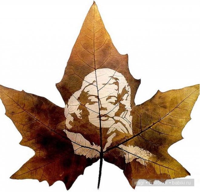 Рисунки на листьях клёна — Интересное и необычное: фотоподборки (фото 5)