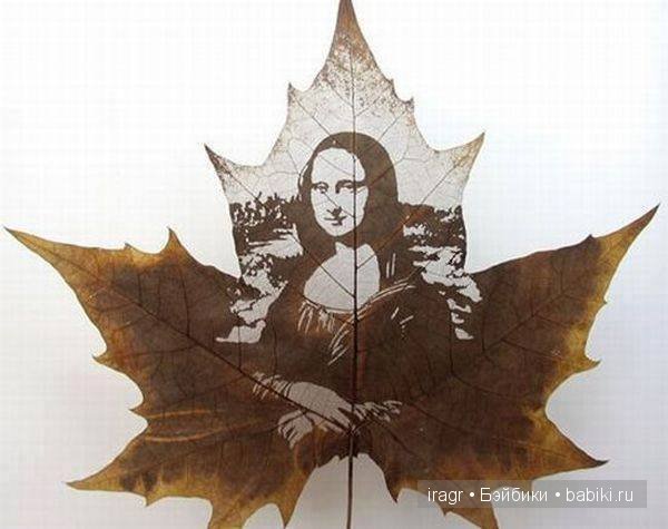 Рисунки на листьях клёна — Интересное и необычное: фотоподборки (фото 8)