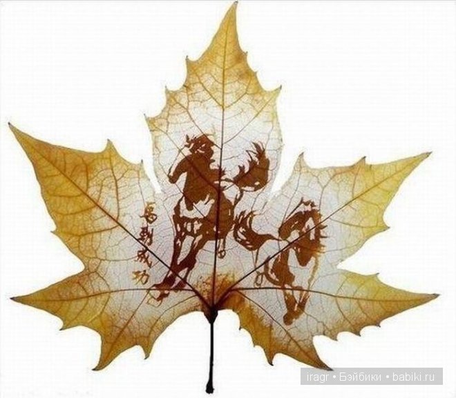Рисунки на листьях клёна — Интересное и необычное: фотоподборки (фото 3)